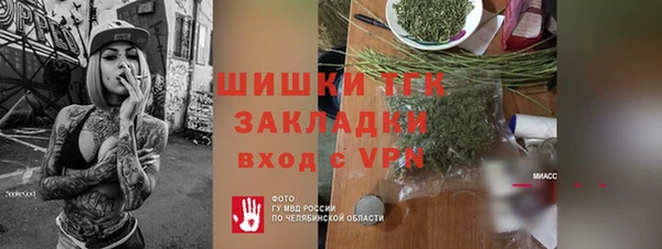 шишки Осташков