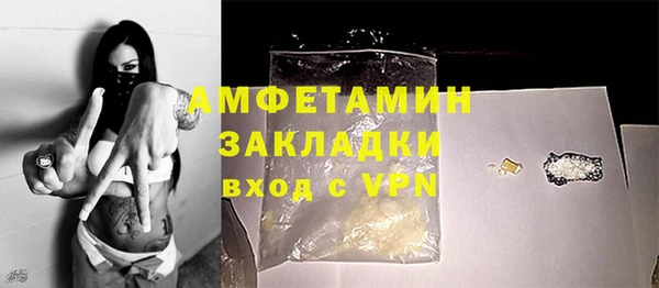 шишки Осташков