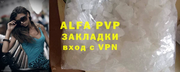 шишки Осташков