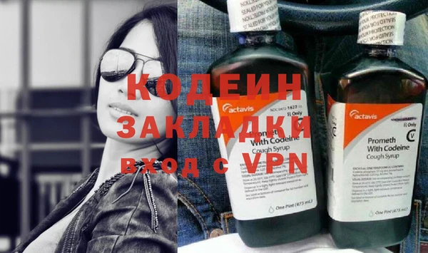 шишки Осташков