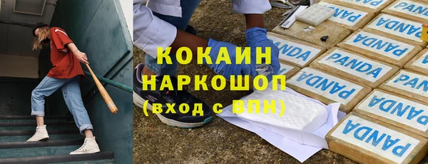 шишки Осташков