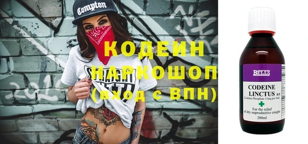 шишки Осташков