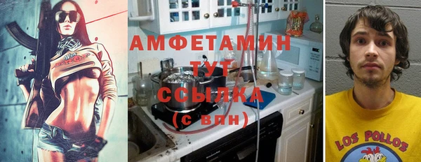 шишки Осташков