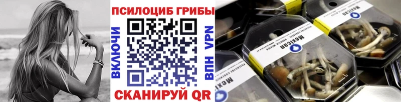 kraken ONION  Мегион  Галлюциногенные грибы прущие грибы 