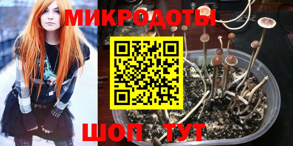 Мегион  Псилоцибиновые грибы GOLDEN TEACHER  Вход с VPN  Псилоцибиновые грибы Psilocybine cubensis 
