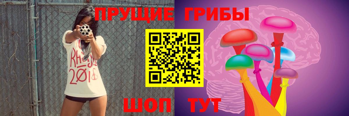 Галлюциногенные грибы Psilocybe Мегион