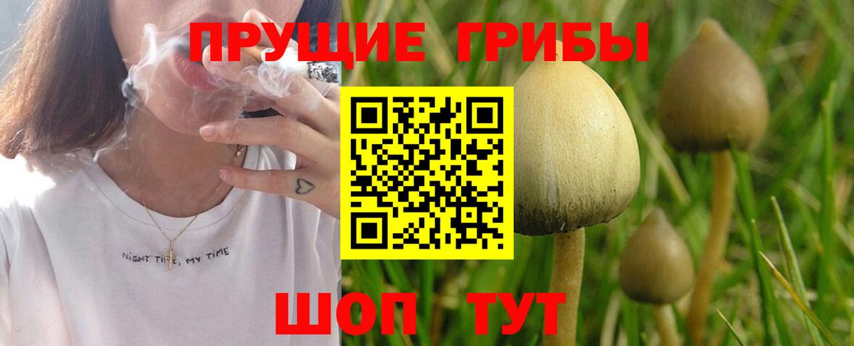Галлюциногенные грибы прущие грибы Мегион